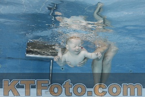 Photo 4261634