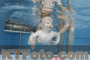 Photo 4261636