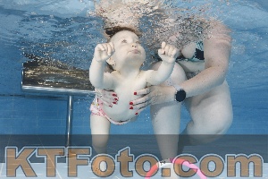 Photo 4261639