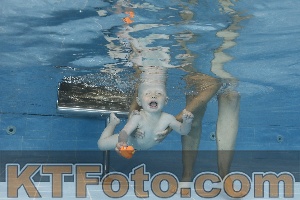 Photo 4261643