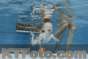 Photo 4261644