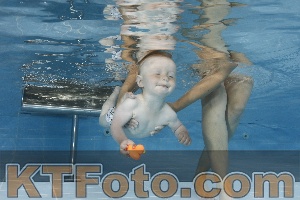Photo 4261645