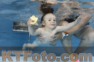 Photo 4261648