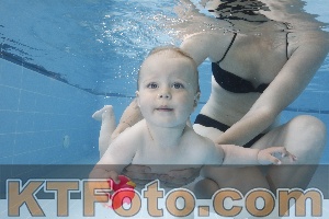 Photo 4261777