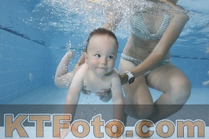Photo 4261778