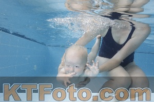 Photo 4261780