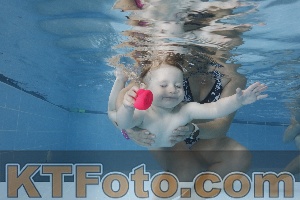 Photo 4261786