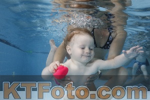 Photo 4261787
