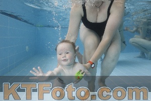 Photo 4261790