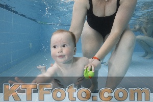 Photo 4261791