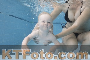 Photo 4261793