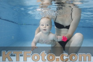 Photo 4261798