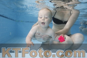 Photo 4261799