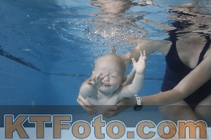 Photo 4261804