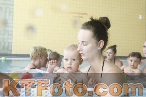 Photo 4261820