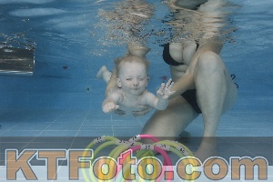Photo 4261828