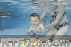 Photo 4261831