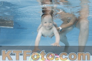 Photo 4261834