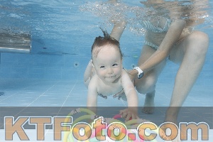 Photo 4261835