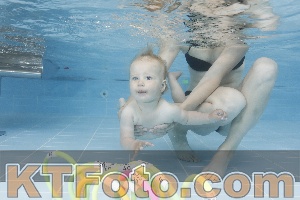Photo 4261839