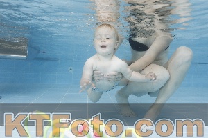 Photo 4261840
