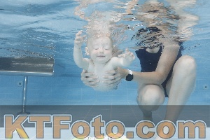 Photo 4261841