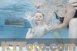 Photo 4261850