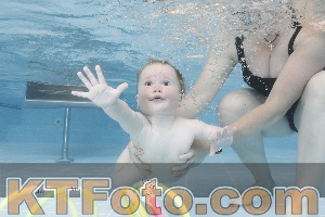 Photo 4261851