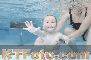 Photo 4261852