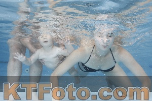 Photo 4261862