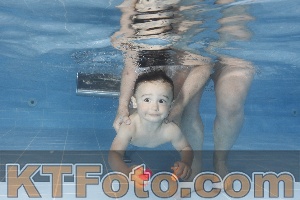 Photo 4261893