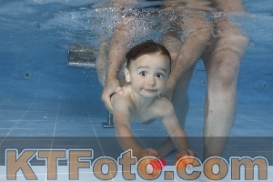 Photo 4261894