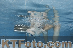 Photo 4261895