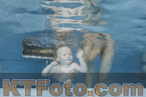 Photo 4261896