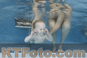 Photo 4261897