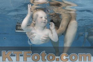 Photo 4261898