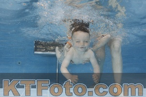 Photo 4261899