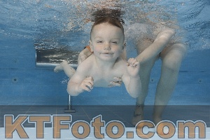 Photo 4261900
