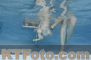 Photo 4261902