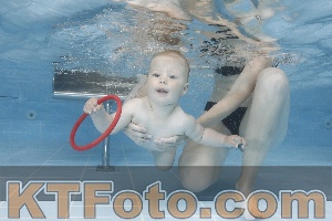 Photo 4261909