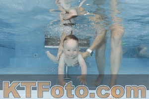 Photo 4261912