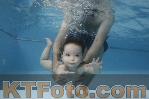 Photo 4262027