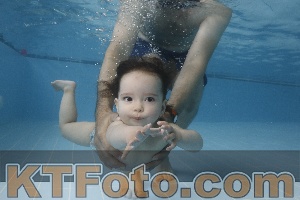 Photo 4262028