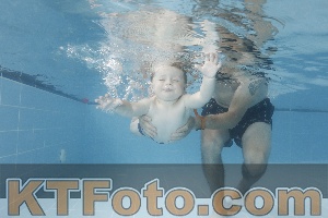 Photo 4262029