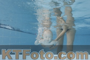 Photo 4262035