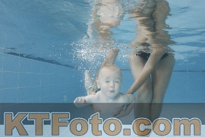 Photo 4262036