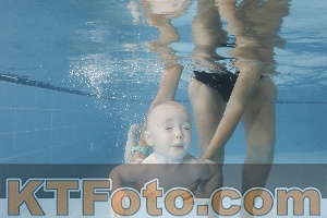 Photo 4262037