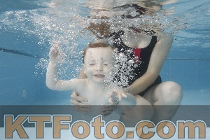Photo 4262041