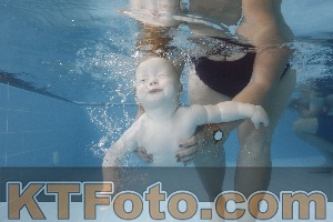 Photo 4262044