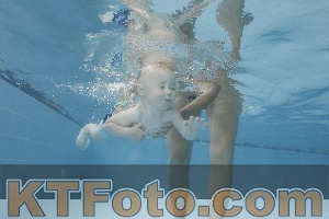 Photo 4262055